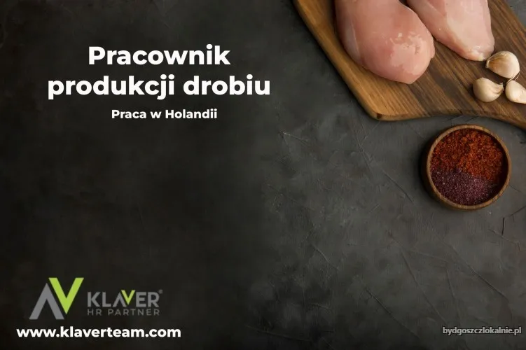 praca-za-granica-pracownik-produkcji-drobiu-praca-od-zaraz-70745.webp
