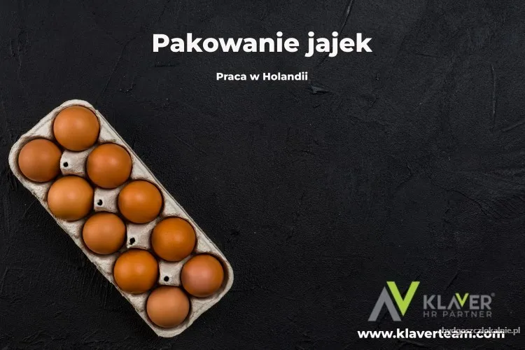praca-za-granica-pakowanie-jajek-praca-od-zaraz-70755.webp