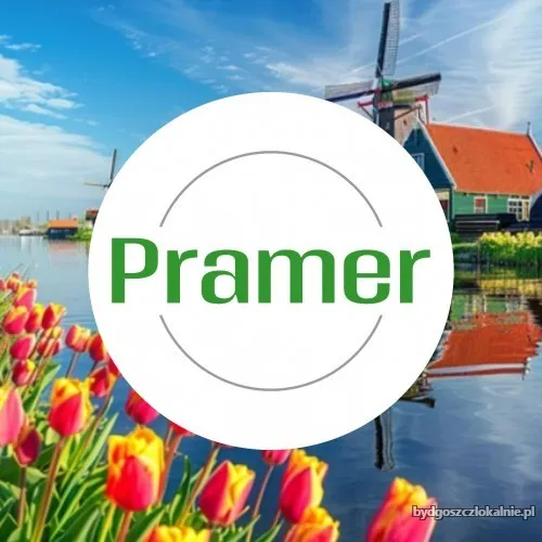 Pramer_kwadrat_12.webp
