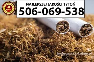 bardzo-dobrej-jakosci-tyton-85-pln1kg-70982.webp