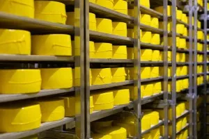 Praca za granicą - wiele ofert Holandia, Niemcy, Belgia