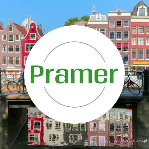 Pramer_kwadrat_5.webp