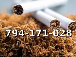 Bardzo Dobrej Jakości tani TYTOŃ na wagę 110 PLN/1KG